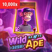 Giao diện cài đặt trình duyệt cho phép người dùng WIN55 quản lý tùy chọn cookie