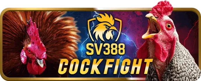 Các chương trình khuyến mãi hấp dẫn tại Win55